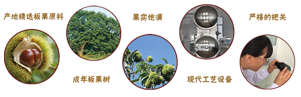 鲜板栗